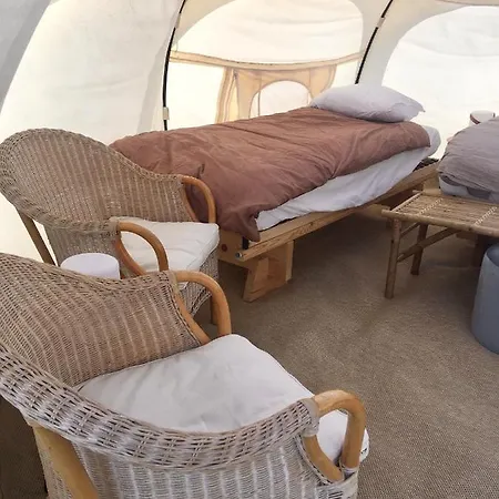 Hvidegaard Mon * 斯泰厄