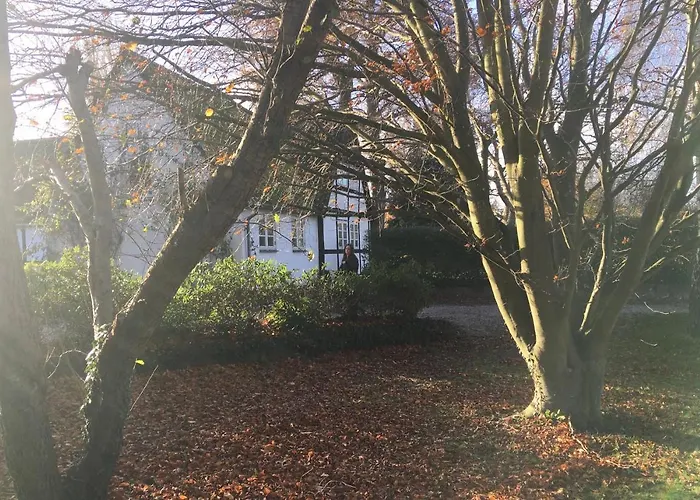 Hvidegaard Mon סטגה